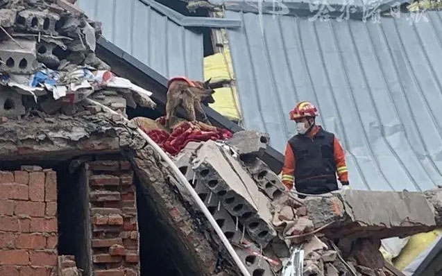 哈爾濱坍塌事故，引發老舊小區改造問題新思考